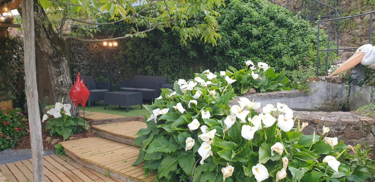 Casa Belavista Penela - Charming Guest House - Adults Only Ngoại thất bức ảnh