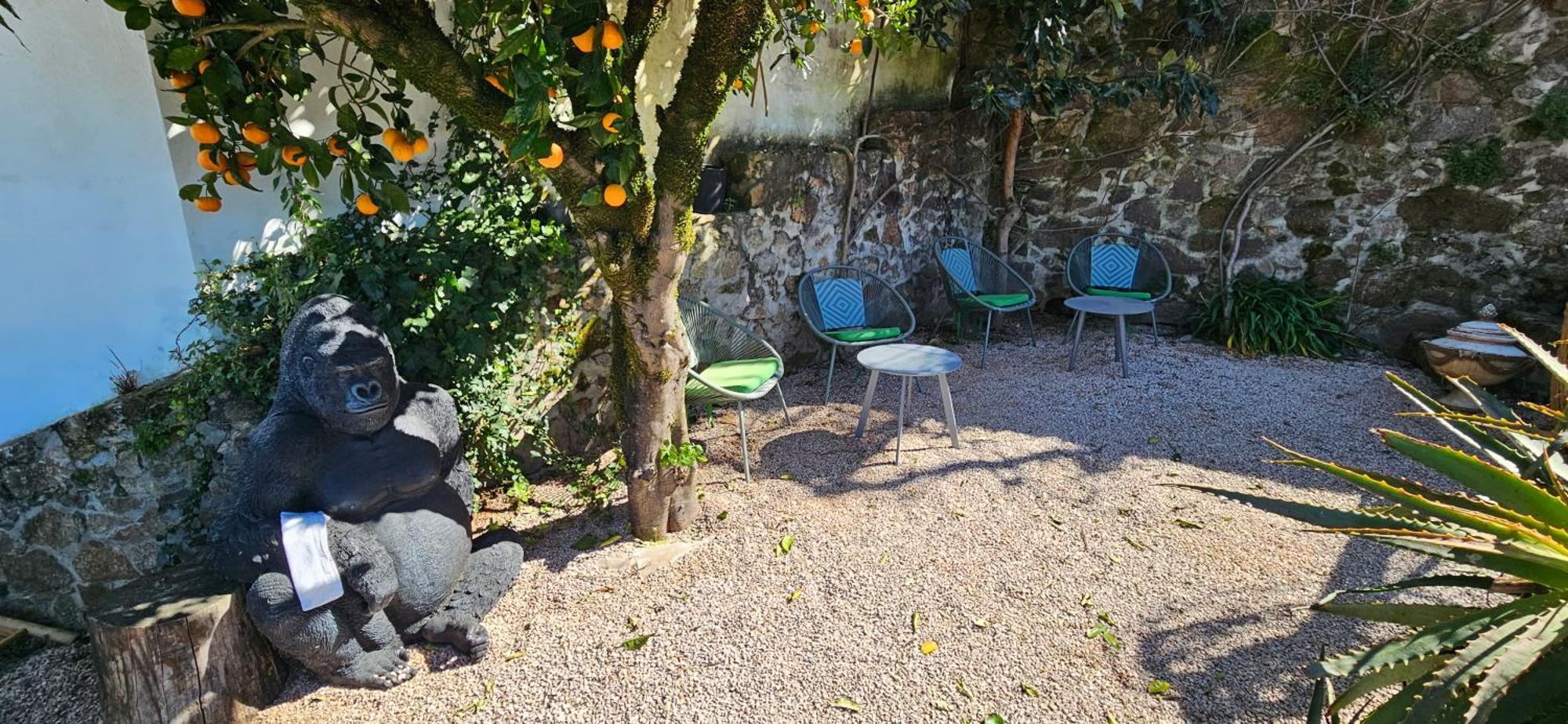 Casa Belavista Penela - Charming Guest House - Adults Only Ngoại thất bức ảnh